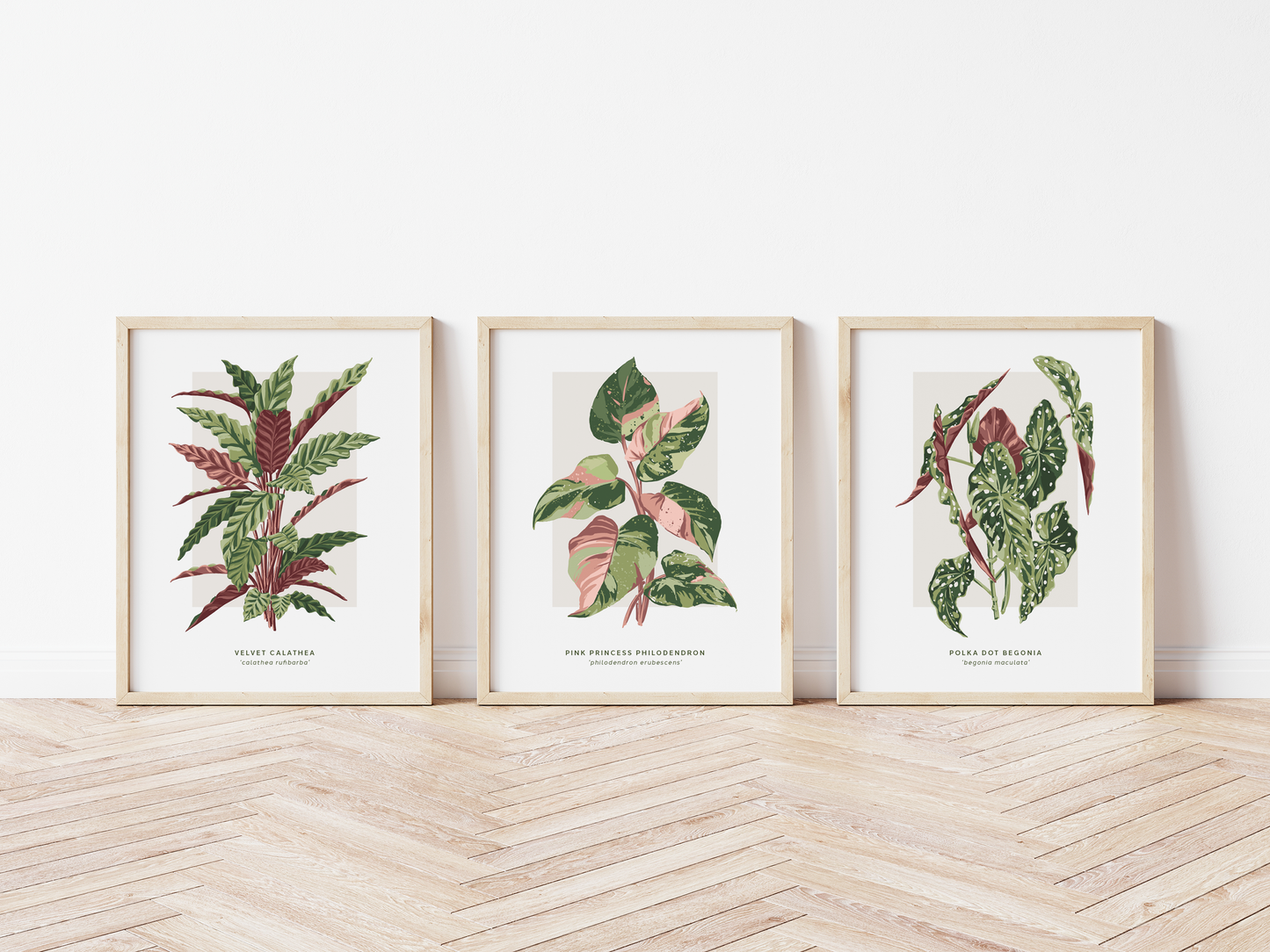 Polka Dot Begonia Print