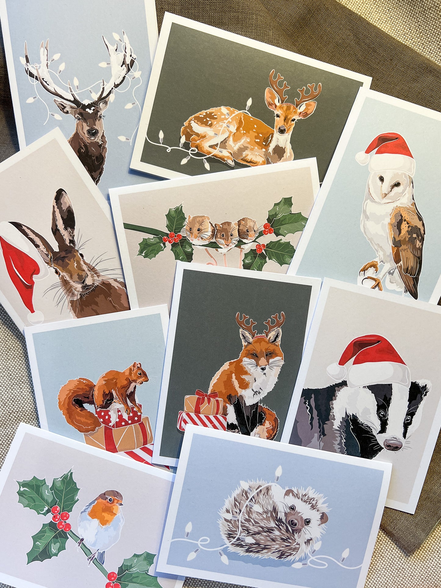 Robin & Holly Christmas Card