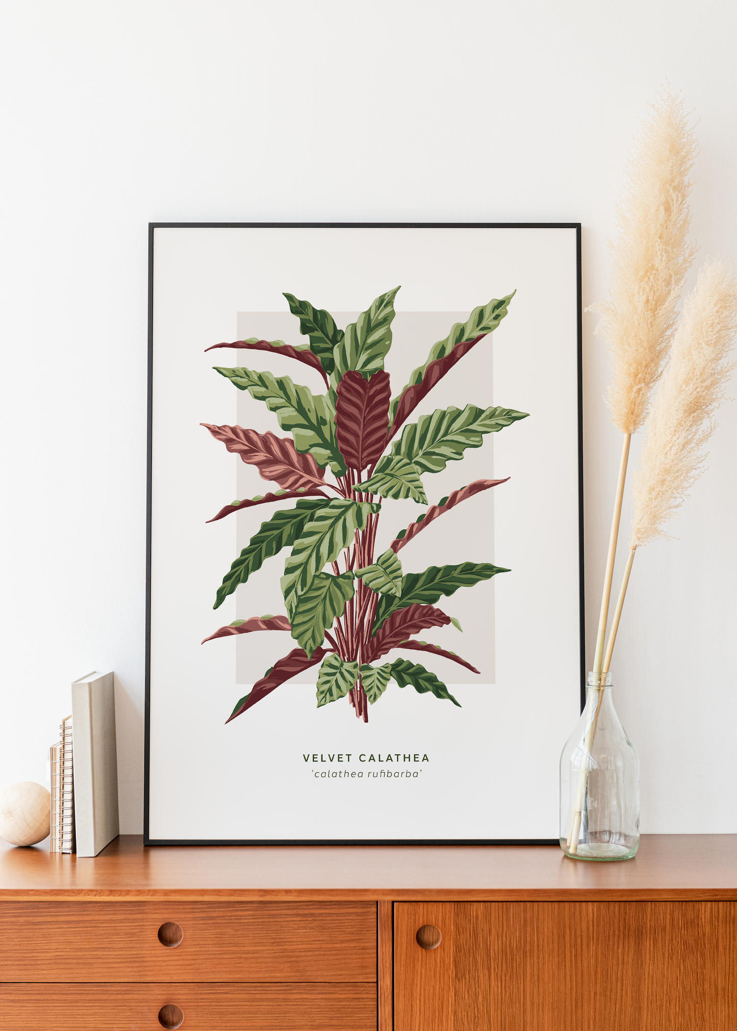 Velvet Calathea Print