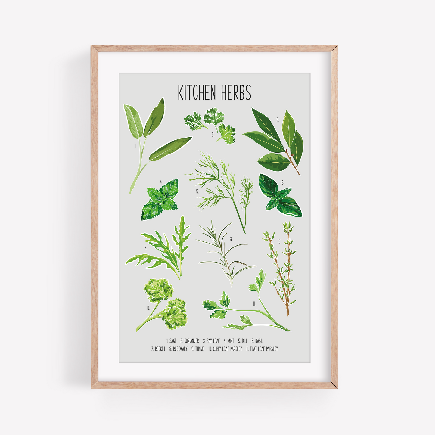 Kitchen Herbs