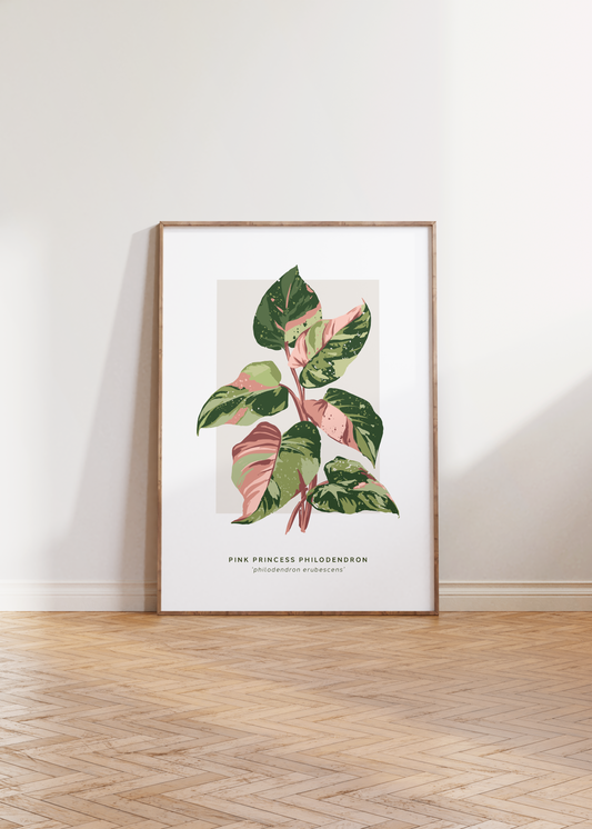 Pink Princess Philodendron Print