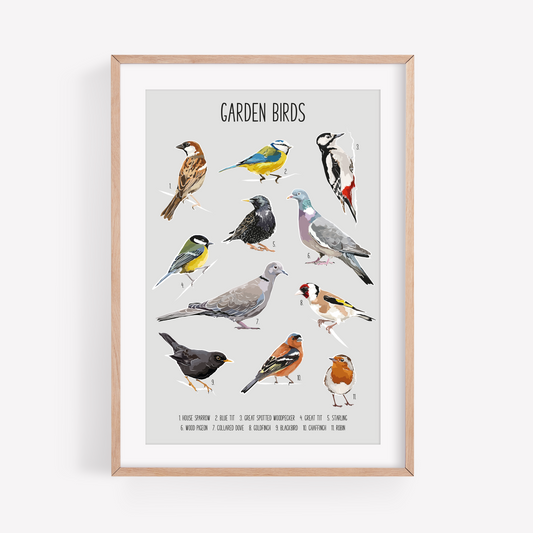 Garden Birds