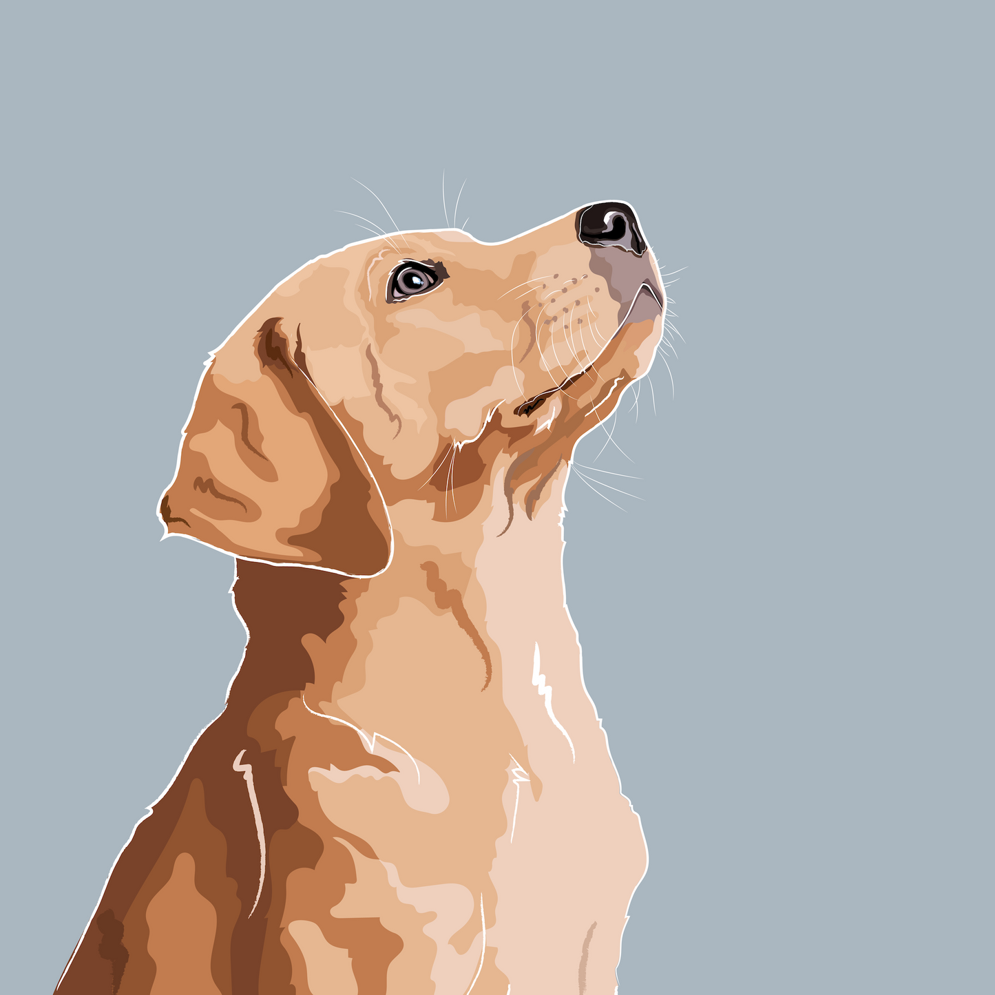 Standard Pet Illustration