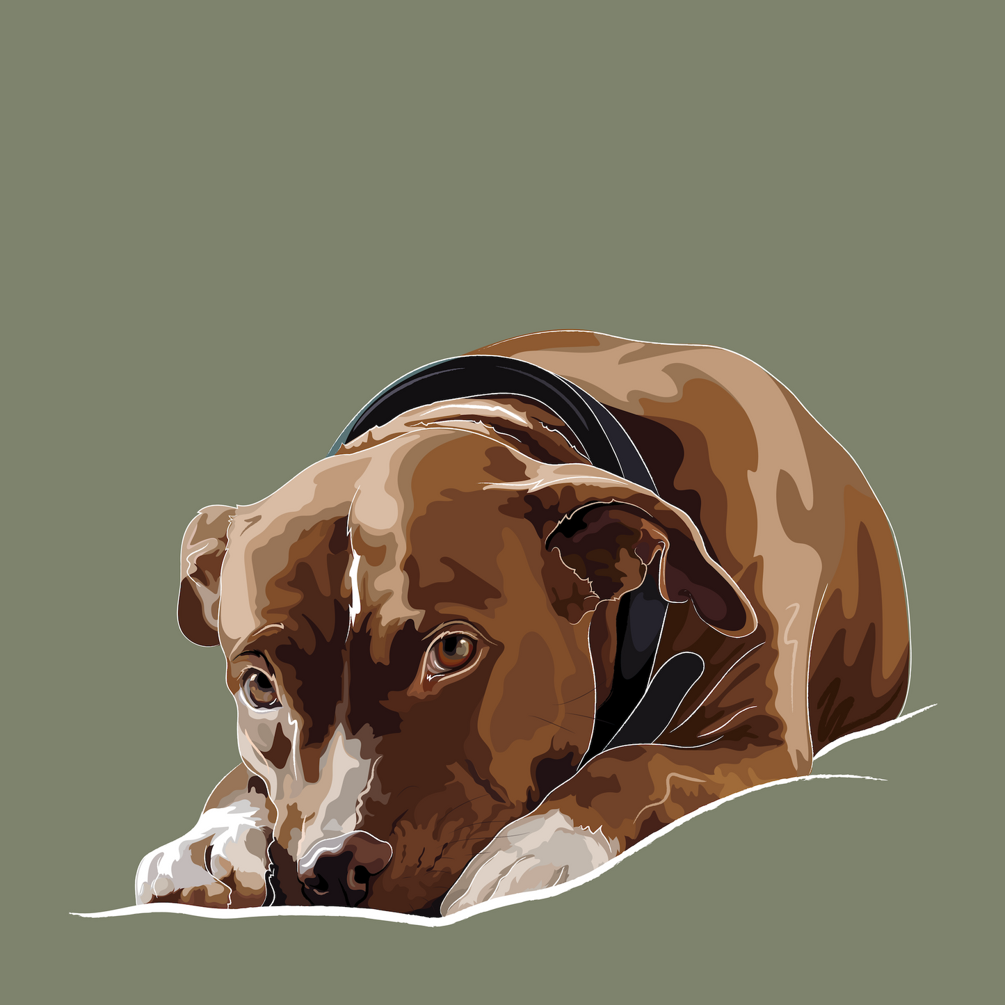 Standard Pet Illustration