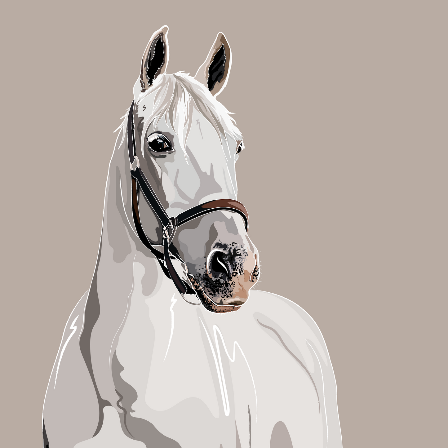 Standard Pet Illustration