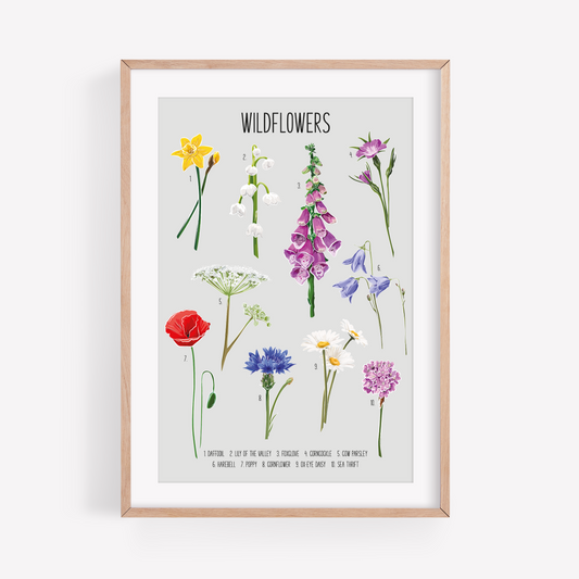 Wildflowers